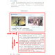 Echte 2024 Neue Lehrplanreform Neue Version High School Politische Ideologie Obligatorisch eins, zwei, drei, vier 12134 Vollständige Set vier Personal Education Edition High School Political Complete Set People's Education Press High School Ideologie und politische obligatorische vollständige Set -Lehrbuchkompilation Edition