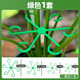
Monstera plant support pole Flower Phalaenopsis fixed green plant anti-lost gardening flower stand fixture collector [1 set of green] including four sizes