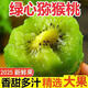 Shaanxi green heart kiwi fruit, super sweet kiwi fruit, fresh fruit for pregnant women, now picked and spoiled, guaranteed compensation, 6 pieces for early adopters, single fruit 60-80 grams