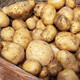 Shandong fresh yellow heart potatoes, farm-grown yellow potatoes, yellow heart potatoes, fresh vegetables, Shandong yellow heart soybeans, large fruits 4 Jin Jin equal to 0.5 kg, including box