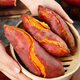Freshly dug sandy land watermelon, red sweet potato, fresh farm sweet potato, roasted sweet potato, potato soft and waxy wholesale, watermelon red sweet potato 1Jin Jin is equal to 0.5kg, small and medium-sized fruit