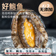 Linglue fresh frozen large abalone, net weight 800g, 16 pieces box, abalone hot pot barbecue, shellfish and seafood, fresh