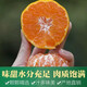Taste Taizhou Linhai Yongquan Mandarin Oranges 65-80mm Net weight 6.5Jin Jin is equal to 0.5kg No. 1 Member Store Straight from the source