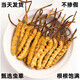 Coffret cadeau Cordyceps avec Cordyceps de haute qualité dans les zones tibétaines sur la livraison et les cadeaux le même jour. Le premier choix est les cordyceps enneigés authentiques à Nagqu, Tibet. 4 Cordyceps à haute altitude en 1 gramme 30 pièces