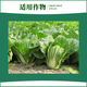 Zhongxun Zhongxun Zhongxun Zhitiao 8% Aminobutanol Chinese Cabbage Growth Regulator Soluble Powder Growth Regulator 100g