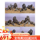 
OIMG Qinglong Stone Landscape Full Set Meal Skeleton Finished Fish Tank Natural Large Rock Raw Grass Garland Stone Water Grass Set 0.9-1m Jar Qinglong Stone Set-15664 Posted