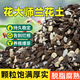 Flower Master special soil for orchids, phalaenopsis orchid special flower soil, nutritious soil orchid planting material, pine bark particles, breathable, new high orchid soil 5Jin Jin is equal to 0.5kg, 6-in-1 stone, 3 gifts for free