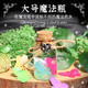 
Toys Mr. Junior Little Magician Children's Science Small Experiment Handmade Diy Material Pack for Men Little Magician Gift Box-Deluxe Edition
