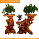 Xmsj verstärkte natürliche Wurzel Carving Rack Basis Block Wohnzimmer Chinesische Bonsai Fischtank Stand Massivholz Baumwurzel Kunst Balkon Ornament 16866