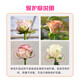 Jingdong Flowers Kunming Base Flower Straight Hair Family Life Flowers Rose Carnation Mix and Match-Fresh as Yi Source Straight Hair