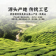 中谷御品茶叶 凤凰单枞乌龙茶 新茶特级广东潮州鸭屎香茶叶礼盒125g*2罐 【自饮罐装】凤凰单枞75g