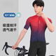 
Siruilin Germany 2025 new short-sleeved cycling suit men's summer breathable sports road bicycle quick-drying sweat-absorbing comfort set Lake water blue suit L