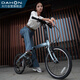 Bicicleta plegable Dahon P10 Aleación de aluminio de 20 pulgadas Conjutor de aluminio Adult V-Brake PAA003 Matte Gris azul
