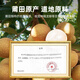 Qili Xiang Guiyuan Pork 500g (2 cans) non -nuclear -free peeling longan dry new goods Full longan meat, wet laurel, Fujian specialty, Angelica longan meat wolfberry tea, gift gift