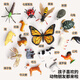 纽奇动物模型玩具diy拼插立体拼图儿童早教益智中阶认知生日礼物盒