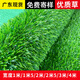 Liangxiang Simulated Lawn Carpet Plastic Artificial Green Fake Turf Kindergarten Balcony Outdoor Padding Courtyard Engineering Fence 2.5mx1m Spring Grass 2cm Encrypted Style