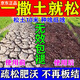 Loosening essence soil activator loosens and improves soil compaction, no deep plowing, black water fertilizer for vegetable fields, 5 packages, buy 3 and get 2 free