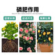 Yuntianhua Phosphate Fertilizer Flower Superphosphate Flower Fertilizer Vegetable Fertilizer Root-Strengthening Fertilizer Soil Fertilizer Chemical Fertilizer Vegetable Agricultural Fertilizer The whole bag of 100Jin Jin is equal to 0.5kg. Originally issued
