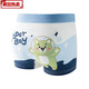 Golden Mai Bird Boy Unterwäsche Teen Sommer Dünne Kinder flache Kurven-Shorts Primary- und Sekundarschule Teenouser 1048 Basketball Ausdruck 4 Pack 2xl Code [vorgeschlagen 55jin [Jin gleich 0,5 kg] -75e