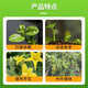 Zheng's Chemical 98% Sodium Nitrophenolate Regulates Growth, Increases Yield, and Promotes Fruit Growth Growth Regulator 1KG 1kg