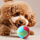 Zanpet Spliced Elastic Ball Dog Supplies Teething Toy Ball Pet Ball Bite-proof Self-Enjoyment Relief Boredom Training Interactive
