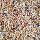 Pigeon food Yipinhong clear pigeon food 45Jin Jin is equal to 0.5kg loaded pigeon food carrier pigeon racing pigeon pigeon food Jiangsu, Zhejiang, Shanghai and Anhui