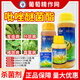 BASF Germany BASF Kairun pyraclostrobin anthrax soybean leaf spot grape downy mildew pesticide special fungicide 8ml