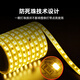 The best 220v high-voltage lamp with outdoor lighting waterproof lamp hotel villa project super bright strip decorative linear lamp 5 meters-220V/10W-120 beads double row-warm light