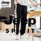 Jeep Spirit Baumwolle und Leinen Casual Hohose Herren gestreifte Spleißhosen Lose Hosen chinesische Retro -Baumwolle und Leinenhosen Sommer Schwarz M -120jin [Jin ist 0,5 kg]