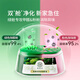 Hope tree formaldehyde removal double cabin formaldehyde removal treasure 2 small green cans formaldehyde removal and odor removal indoor formaldehyde scavenger for new houses