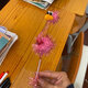 Versión coreana de Kyodo Cartoon animal con pluma con forma de plush pájaro regalo de regalo de pelota con avestructo plano de balancín de avenzo creativo de avenzo [5 piezas] Estilo aleatorio