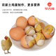 Xinjiyuan live beads egg embryo spicy hairy egg 13 days fresh tempered egg five-spice fresh ready-to-eat live beads 40 five-flavor Xinjiyuan live beads egg embryo spicy hairy egg 13 days fresh tempered egg five-spice fresh ready-to-eat live beads 40 five-flavor