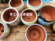 Seto ware hand-painted red pottery breathable water-absorbent succulents orange peach egg Laozhuang flower pot mouth 101214 H687