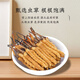 Cordyceps sinensis productos secos auténticos cordyceps sinensis caja de regalo Cordyceps sinensis wang xiong fengdao nutriente y salud Cordyceps sinensis tres gramos 50 raíces [caja]
