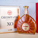 Jinjue Shi French Winery XO Brandy 750ml 40-degree French original bottle imported foreign wine Gift box Gift box Golden Jue Shi Brandy XO 750mL 1 box
