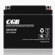 CGB Wuhan Changguang Battery Fire Alarm Instrument Instrument Machine incorporado 24V Fuente de alimentación EPS Potencia para automóvil infantil CB12250 12V25AH