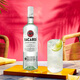 Bacardi Vino Extranjero Ron Blanco Mojito Base de vino Mezcla 750ml