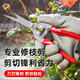 Ronix German gardening shears, fruit tree pruning scissors, garden pruning branches, floral scissors, flower pruning labor-saving garden scissors