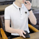 FJLT轻奢高档品牌polo衫男士T恤夏季新款时尚短袖翻领商务透气上衣 F6628（白色） L (建议115-130斤)