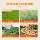 Guoguang Aizhuang Uniconazole Controls Leggy Growth, Prevents Lodging, Promotes Tillering and Dwarfing Plants, Peanut, Rape, and Pepper Official Authentic 50g