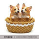 Yusenyi Creative Hundeeingangsschloss Aufbewahrungsschmuck am Tür Eingangsschuhschrank Desktop Dekoration Neues Zuhause Geschenk Doppel Corgi 14069a