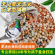 New pigeon food 20 Jin Jin is equal to 0.5 kg. Corn-free pigeon food with corn pigeon feed racing nutrition pigeon food for adult and young pigeons 5 Jin Jin is equal to 0.5 kg. No wheat and corn high-quality pigeon food 20 Jin Jin is equal to 0.5 kg.