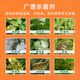 Guoguang Carbendazim Plant Flowers Succulent Fruit Trees Vegetables Powdery Mildew Leaf Spot Universal Preventive Fungicide Guoguang Carbendazim 50g*1 bag/delivery spoon
