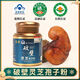 Changbäishan Linzhi -Sporenpulver schützt die Leber und reguliert den Schlaf, um die Wand Ganoderma Lucidum Spore Pulver zu helfen