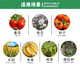 Huayi Feiling 40% Ethephon Walnut Banana Persimmon Tomato Rice Ripening Agent Pesticide Plant Growth Regulator 350g