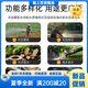 孚通直流深井泵1寸2寸高扬程24v48v60v72v通用电动车潜水泵电瓶抽水泵 1500W[4872v]25米线10米帆布管