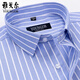 Генеральный директор мужская рубашка с короткими рукавами Yageol Summer Pure Cotton Business Casual Professional Wear Anti-Wrinkle Rink Shirted Middled Shirt Depend Dx6636 38 Предложения [100-120JIN [JIN равно 0,5 кг]]]