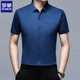 Romon (Romon) Ice Seide Traaceless kurzärmeliges Hemd für Männer 2025 Sommergeschäft Casual Shirt für Männer ohne bügeln