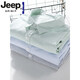 Jeep Spirit High-End-Herren-Pure-Baumwoll-Kurzärmel-Hemd japanischer Sommer-Sommer-Dünn-Streifen-Hemd Neue trendige Top 9740 Hellblau L.