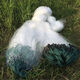 Weiße Seide Dreischicht sinkende Netzfischnetz Sticking Net Green Wire Mesh 100 Meter Fischerei Netto Crucian Karpfenfischerhänge Hanges Netto-Reservoir Netto Silber Net 1,5 Meter hoch 2 Finger weiße Seide Dreischicht sinkend 20 Meter lang